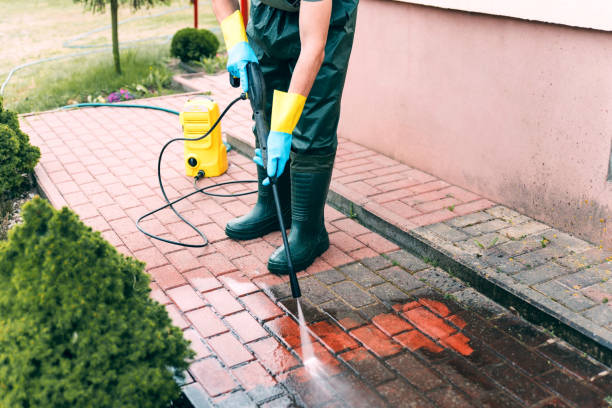 Best Local Pressure Washing Services  in Arapahoe, WY