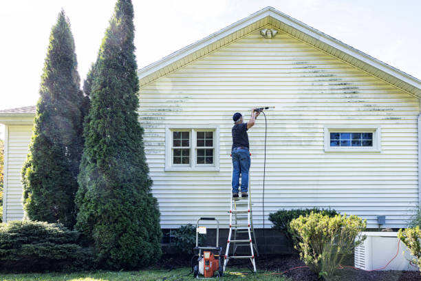 Best Power Washing Near Me  in Arapahoe, WY