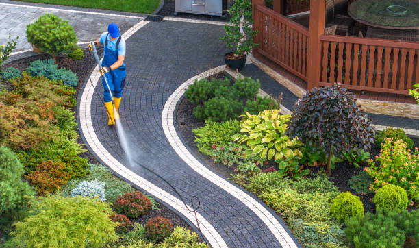 Best House Pressure Washing  in Arapahoe, WY