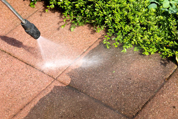 Best Commercial Building Pressure Washing  in Arapahoe, WY